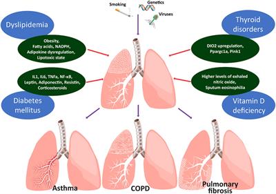 Metabolic Disorders in <mark class="highlighted">Chronic Lung Diseases</mark>